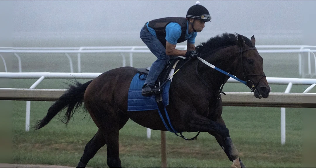 Whitney Stakes Odds: Magnitude (9-5), Sovereignty (3-1), Nitrogen (4-1) Top Star-Studded Field