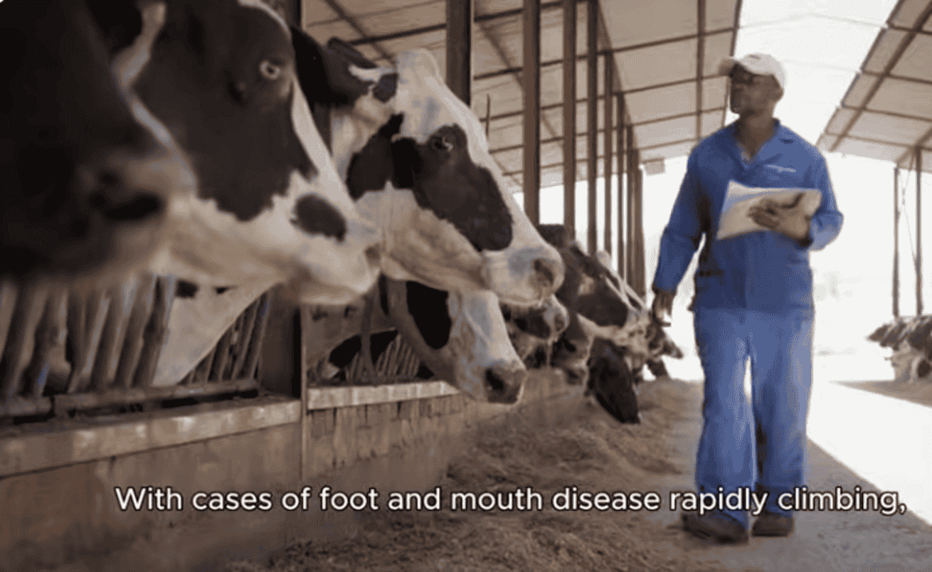 Carte Blanche coming up: Livestock lockdown