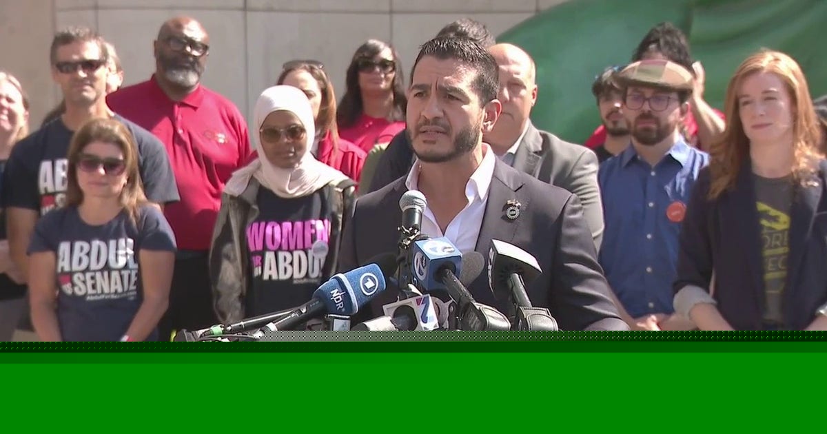 Senate primary winner Abdul El-Sayed talks upset over Haley Stevens: 'We shook up the world'