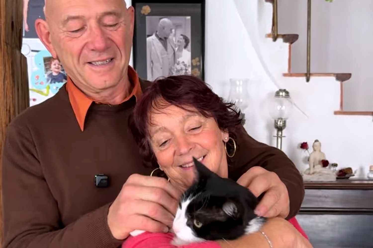 Missing Cat Reappears Months Later After Mysteriously Traveling Nearly 200 Miles Back Home