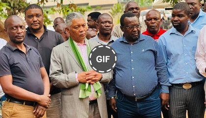 Comment on The Dead Horse Called Tonse Alliance by Timbwi