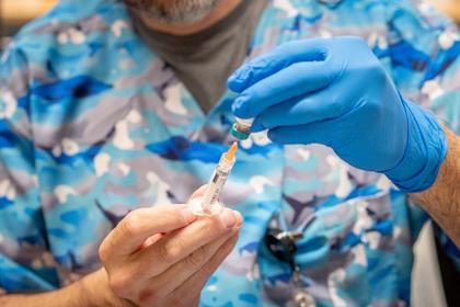 Oregon, Washington, California form vaccine alliance while Florida tries to ban mandates