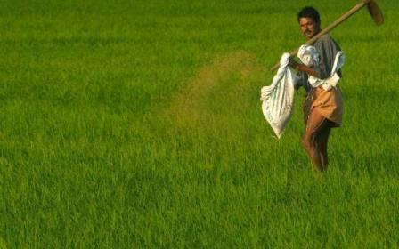 Fertiliser stocks adequate: Odisha Govt