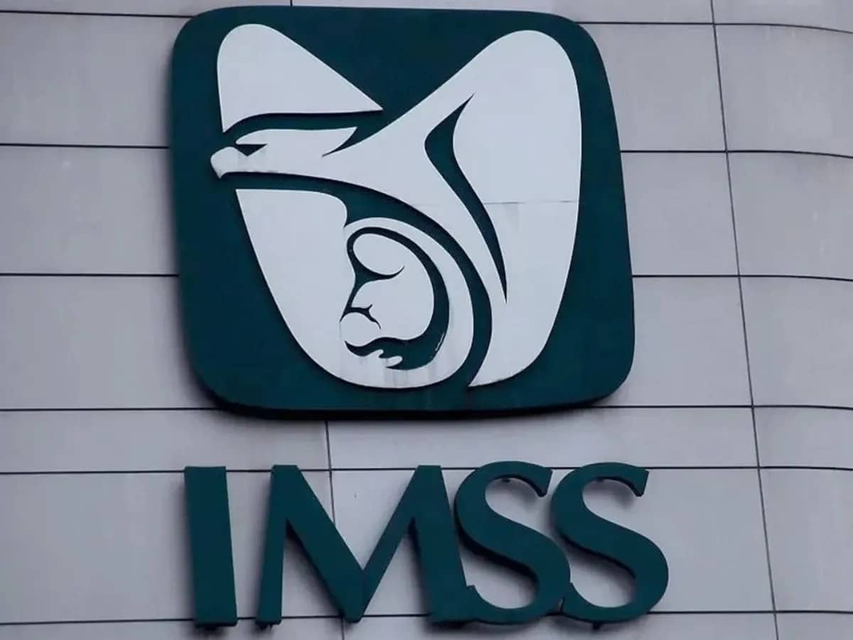 ¿Perdiste la conservación de derechos del IMSS? Así puedes recuperarla