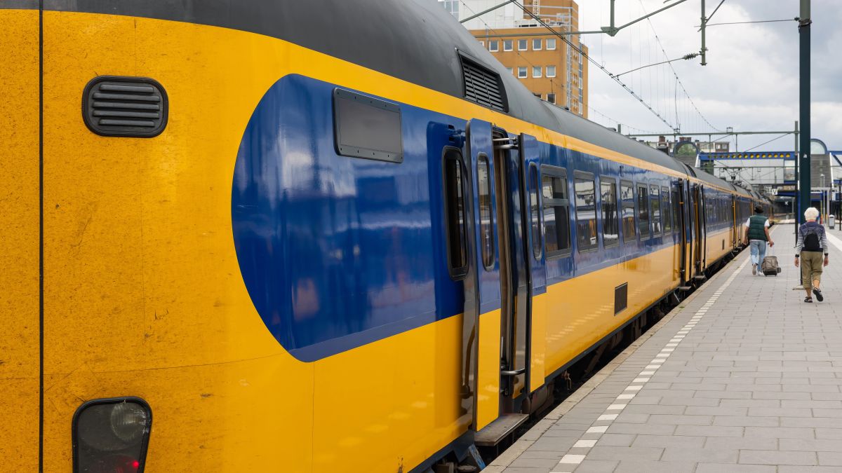 Trains cancelled after dog runs on to track near The Hague
