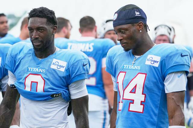Receiver Carnell Tate leans on Calvin Ridley as Titans rookie learns new offense