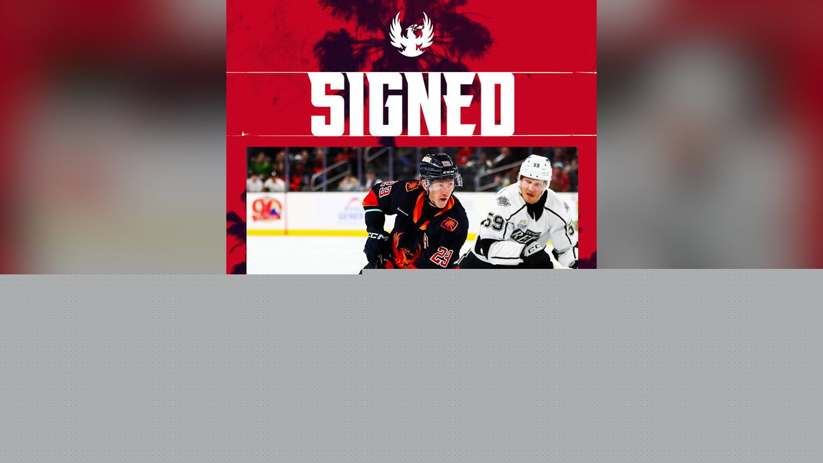 Firebirds bringing back veteran blue-liner Gustav Oloffson