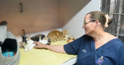 Desperate search for a home: can you give Thelma and Louise a second chance?