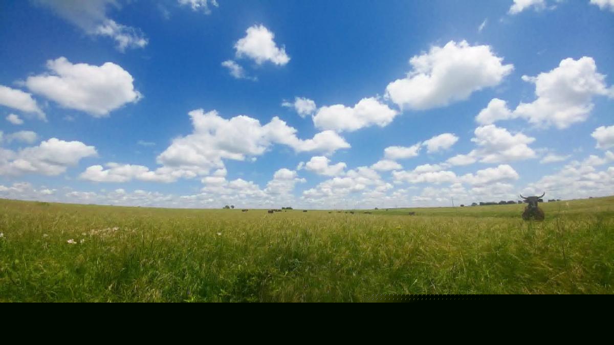 Texas’ Largest Land Owner Deals in Drilling and Data Centers