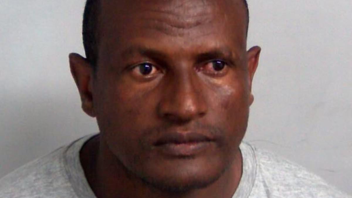 How Epping hotel migrant might avoid immediate deportation despite sexually assaulting 14-year-old girl and woman - as Home Office vows to kick him out of Britain