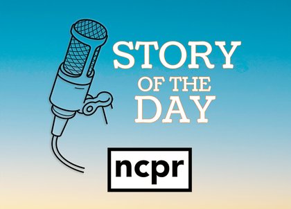 7/1/25: The APA director, cleared of wrongdoing