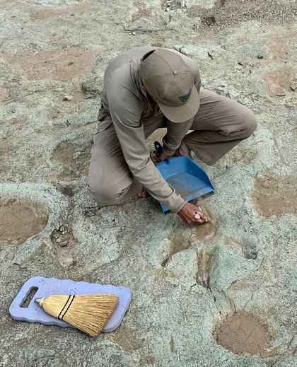 Meet local paleontologist Dr. Emily Lessner at her “Reading the Landscape” presentation on Wednesday, Jan. 28