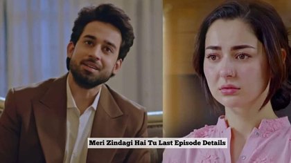 Meri Zindagi Hai Tu last episode date: Writer confirms details