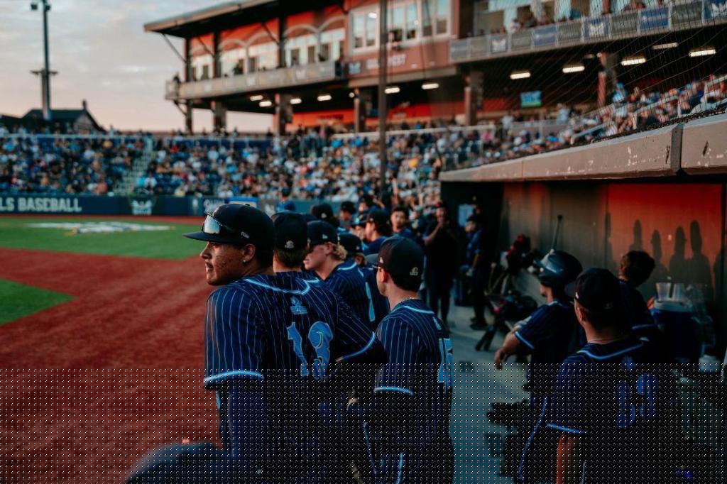 Postseason starts Friday for Sylvan Lake Gulls