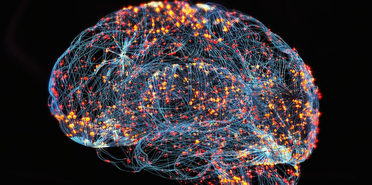 For the First Time, Human Brain Cells Are Growing Inside Rats. What Happens Next?