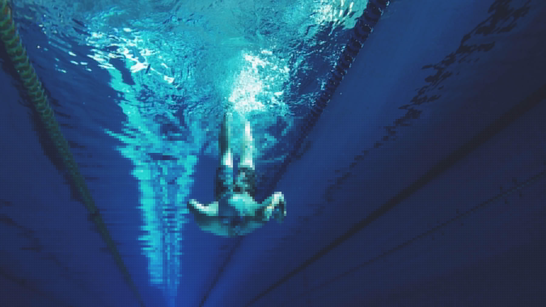 Championnats d'Europe de natation 2026 à Paris : dates, programme, les infos sur la compétition