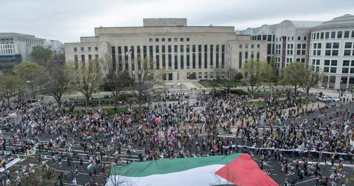 Trump admin unconstitutionally targeted non-citizens over Gaza protests: judge
