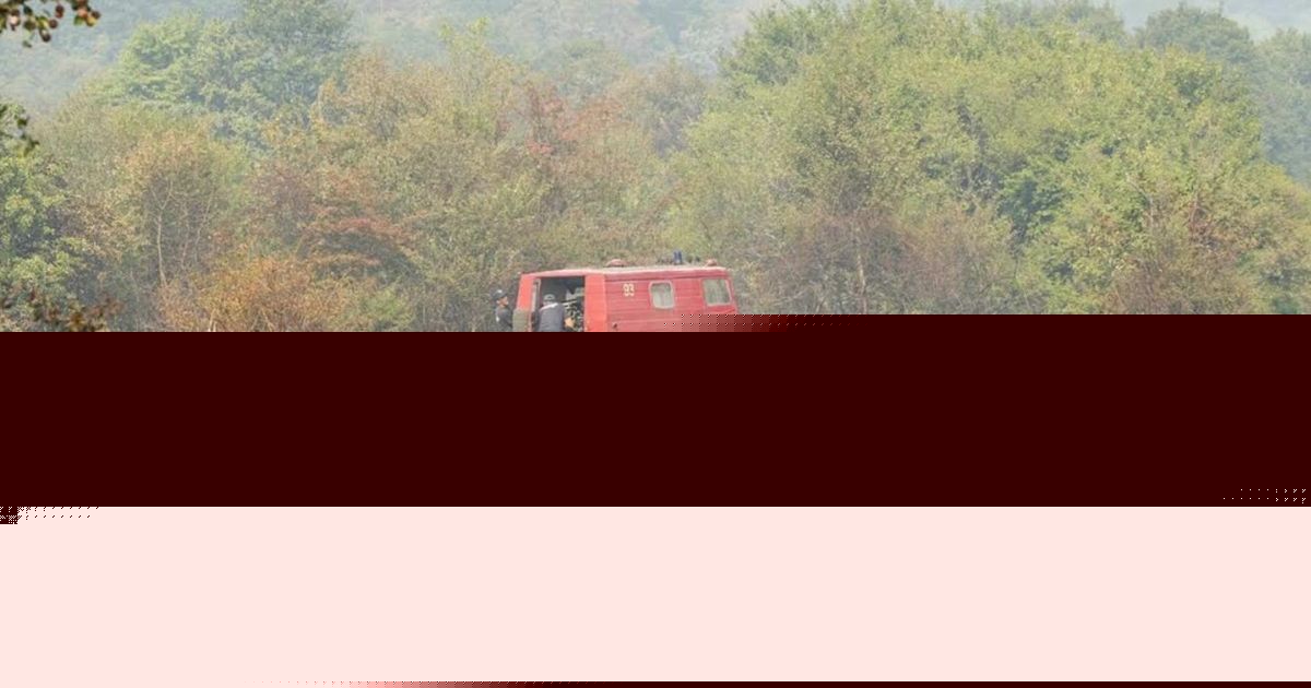 Na gazdinstvu Manastira Beočin izbio požar: Zapalilo se rastinje ispod dalekovoda