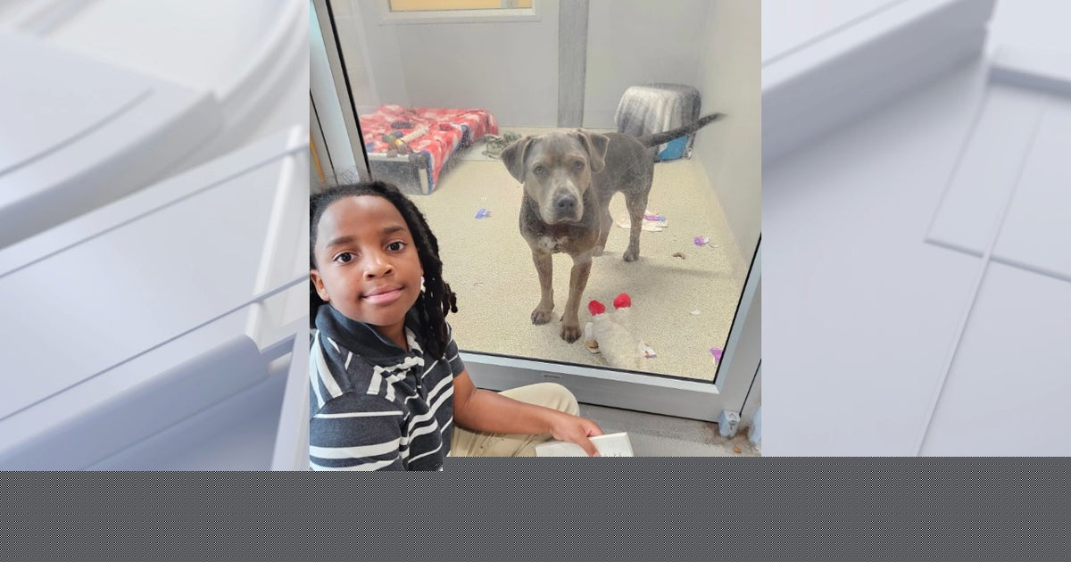 Boy, 11, spends 100 hours reading to shelter animals at Jacksonville Humane Society