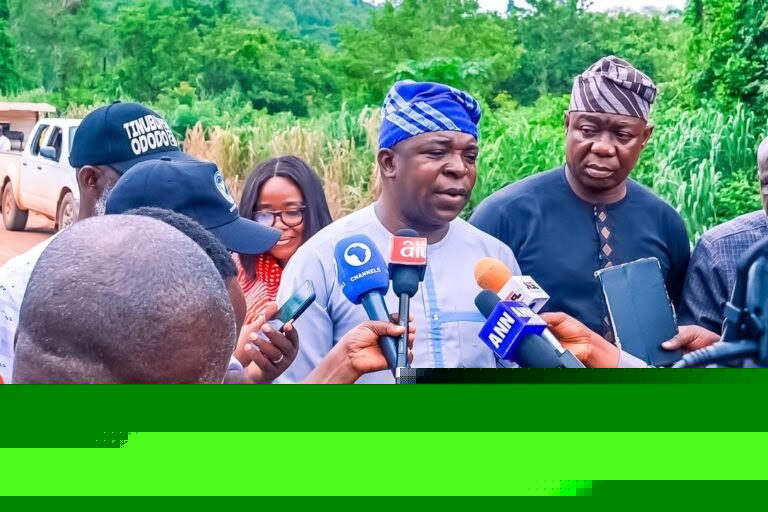 'Osun Needs CEO, Not an Entertainer' — Tinubu’s aide