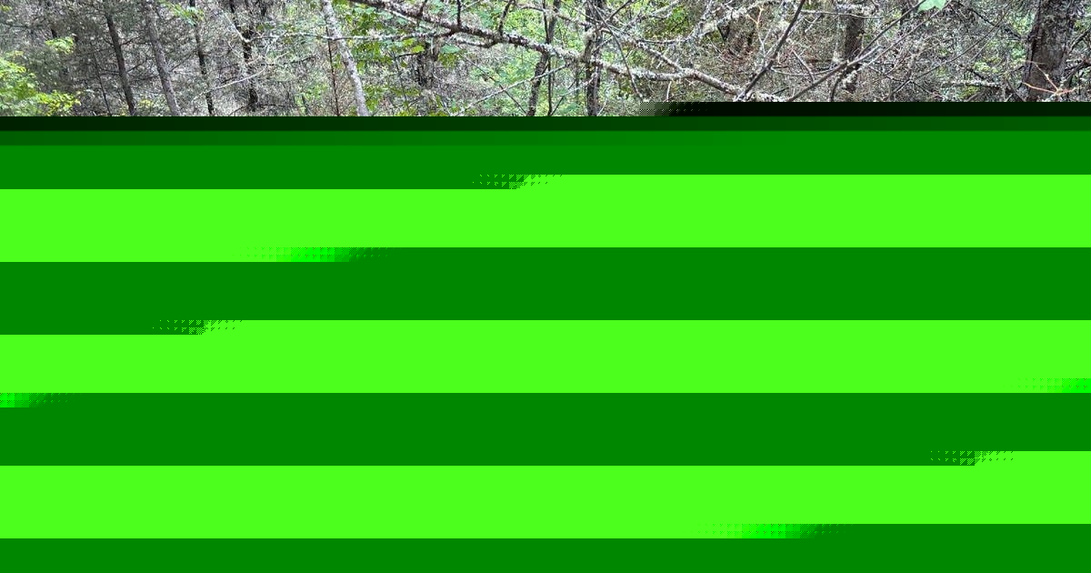 Minnesota wildfires: Superior National Forest reopening 73% of BWCA campsites