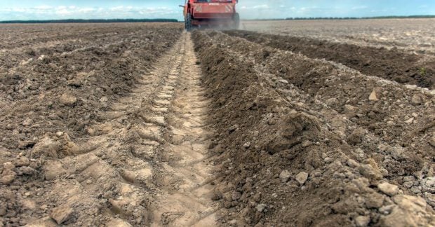 Ukraine to monitor land transactions with new system