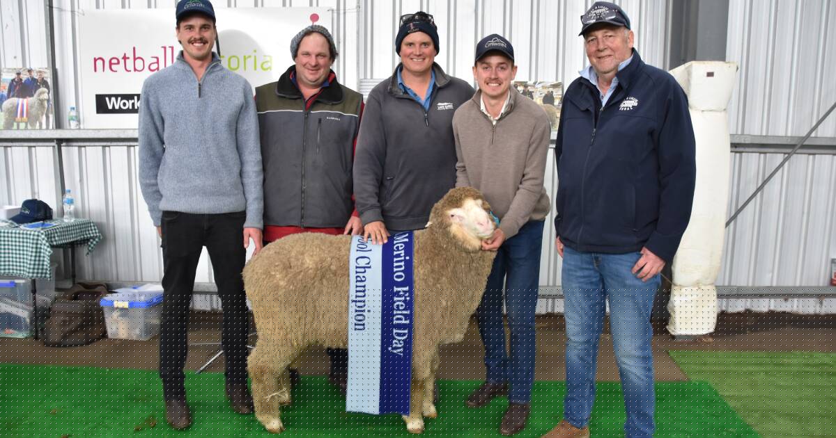 Optimism after late winter rain leads to solid prices at multi-vendor ram sale