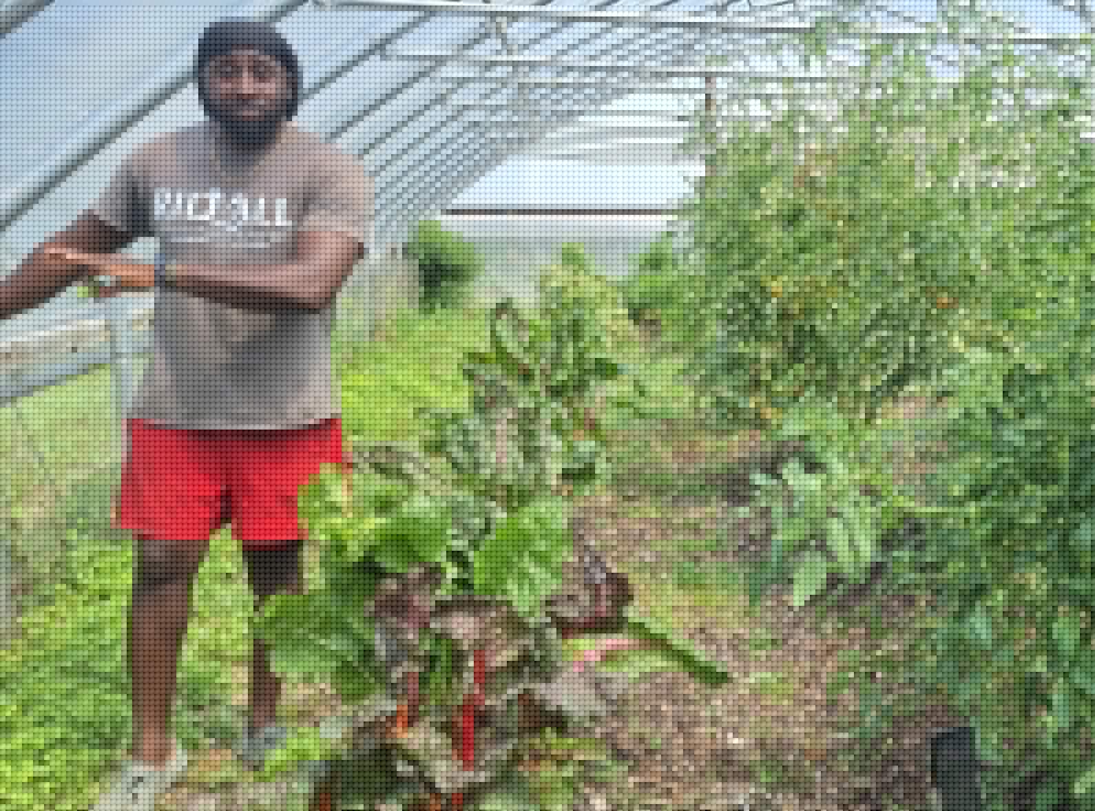 Pick your own produce and tour the grounds at Rid-All Urban Farm in Kinsman