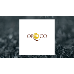 Oroco Resource (CVE:OCO) Trading Up 20.3%  – Should You Buy?