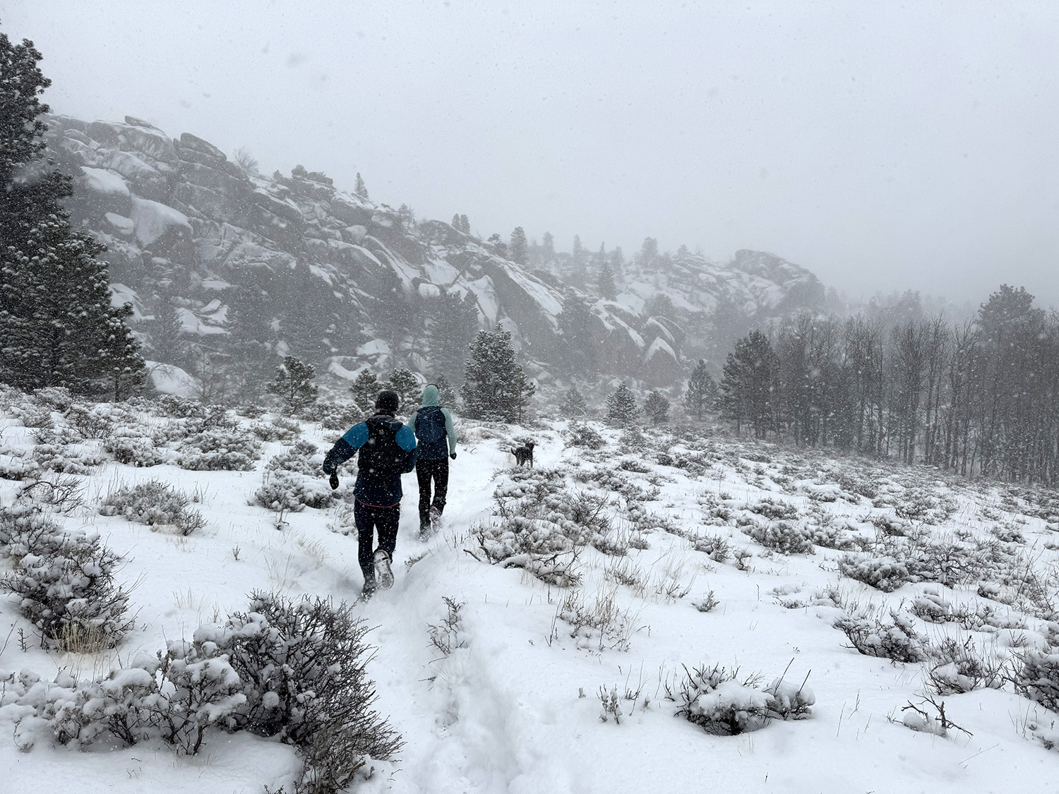 With one Laramie race, deep snow and strong winds are the point
