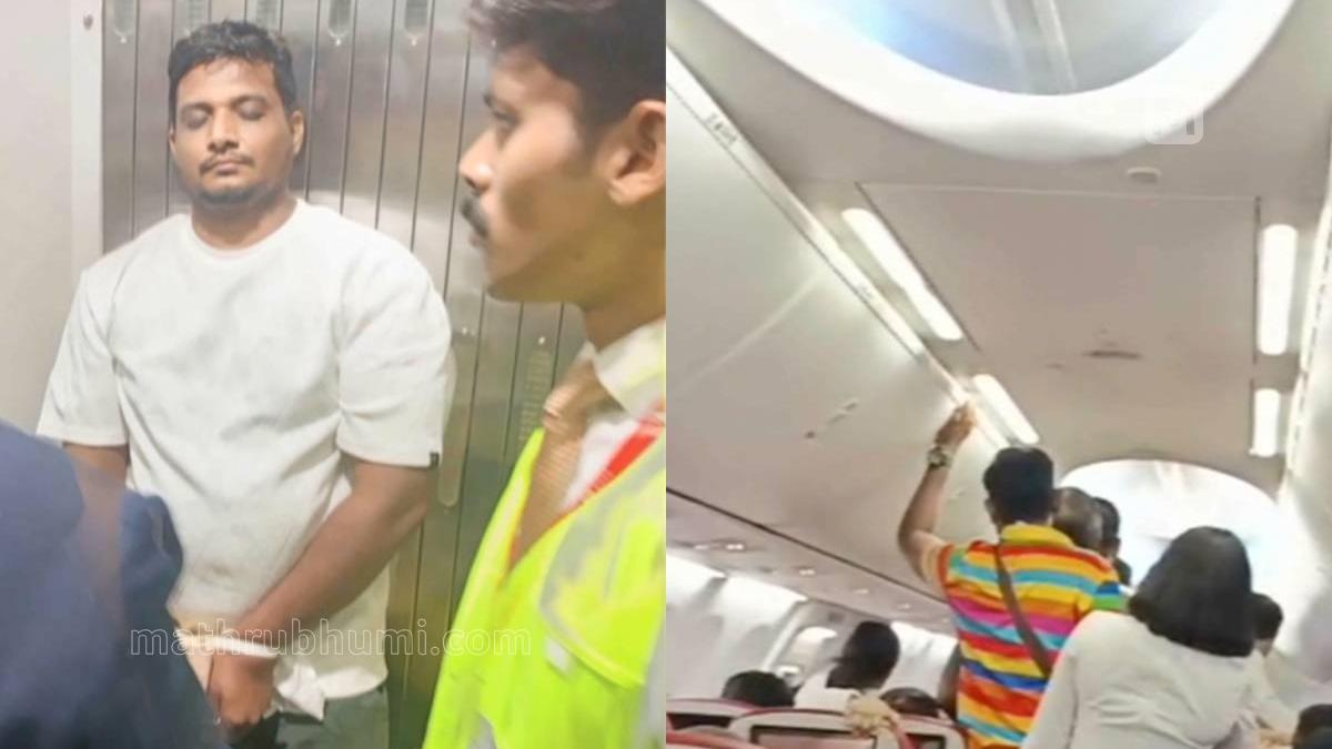 VIDEO: Malayali detained after attempting to open aircraft door mid-flight; major disaster averted