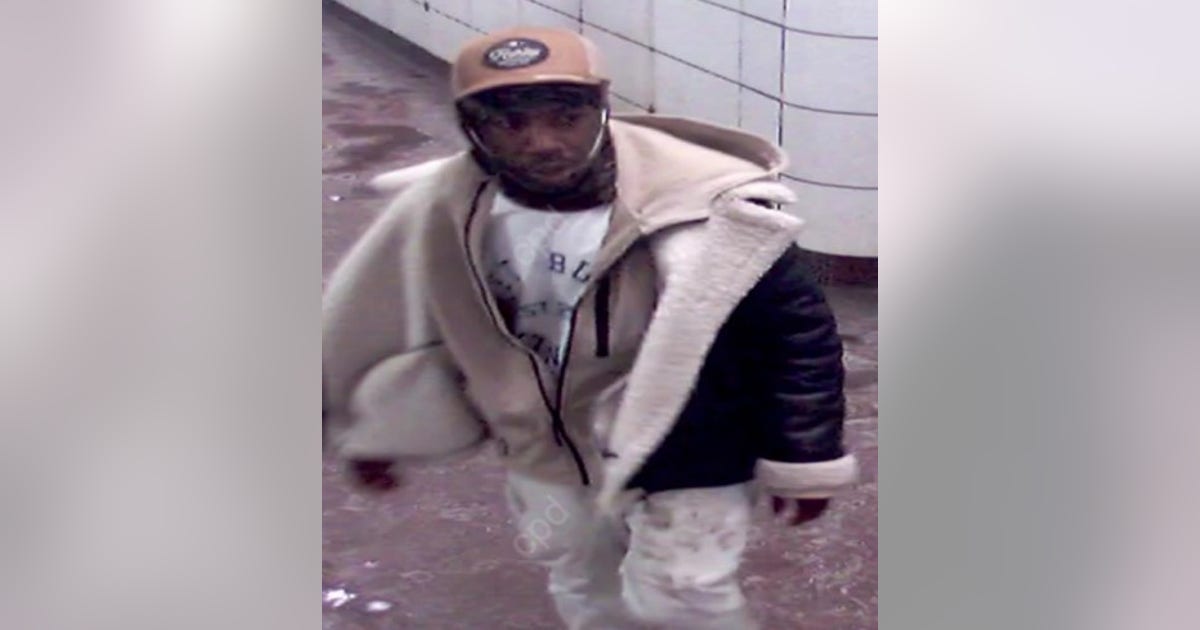 Chicago CTA rider punched and robbed, police seek suspect