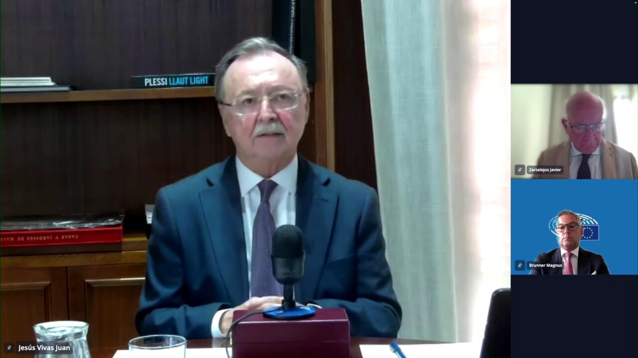 Vivas defiende ante la Comisión LIBE que “Ceuta es Europa” y pide más apoyo comunitario para reforzar la protección de la frontera exterior