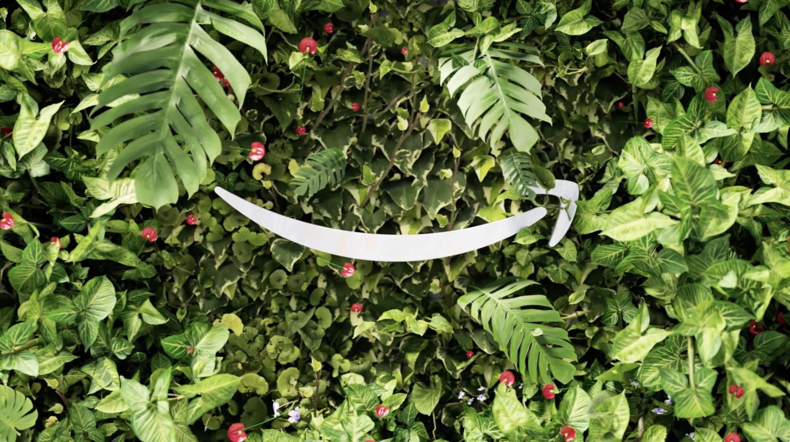 Another grueling wave of layoffs hits Amazon, as the company drops 16,000