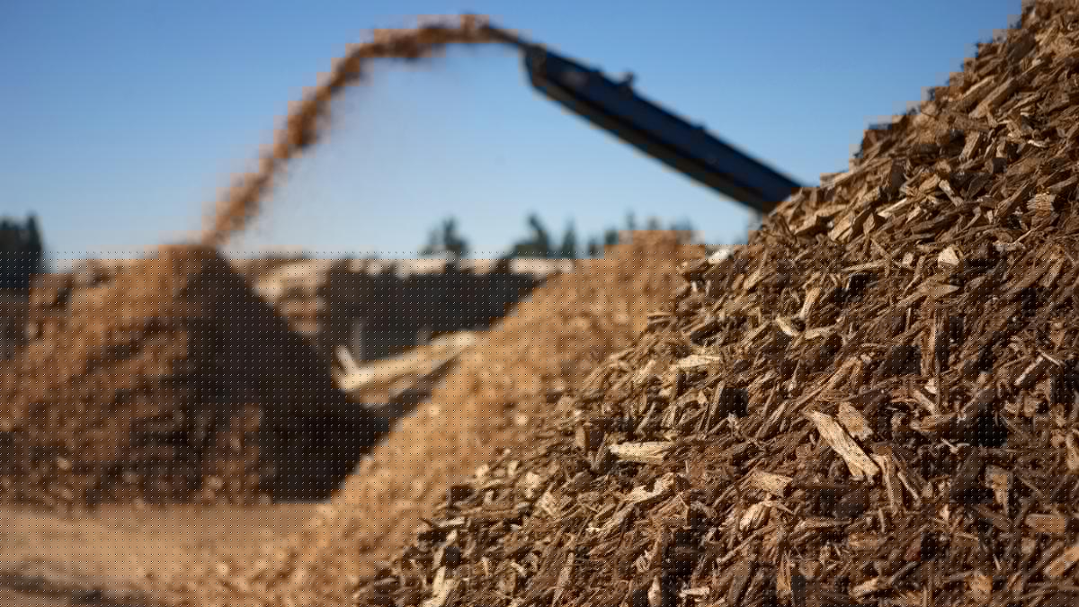 India should back biomass over coal for gasification