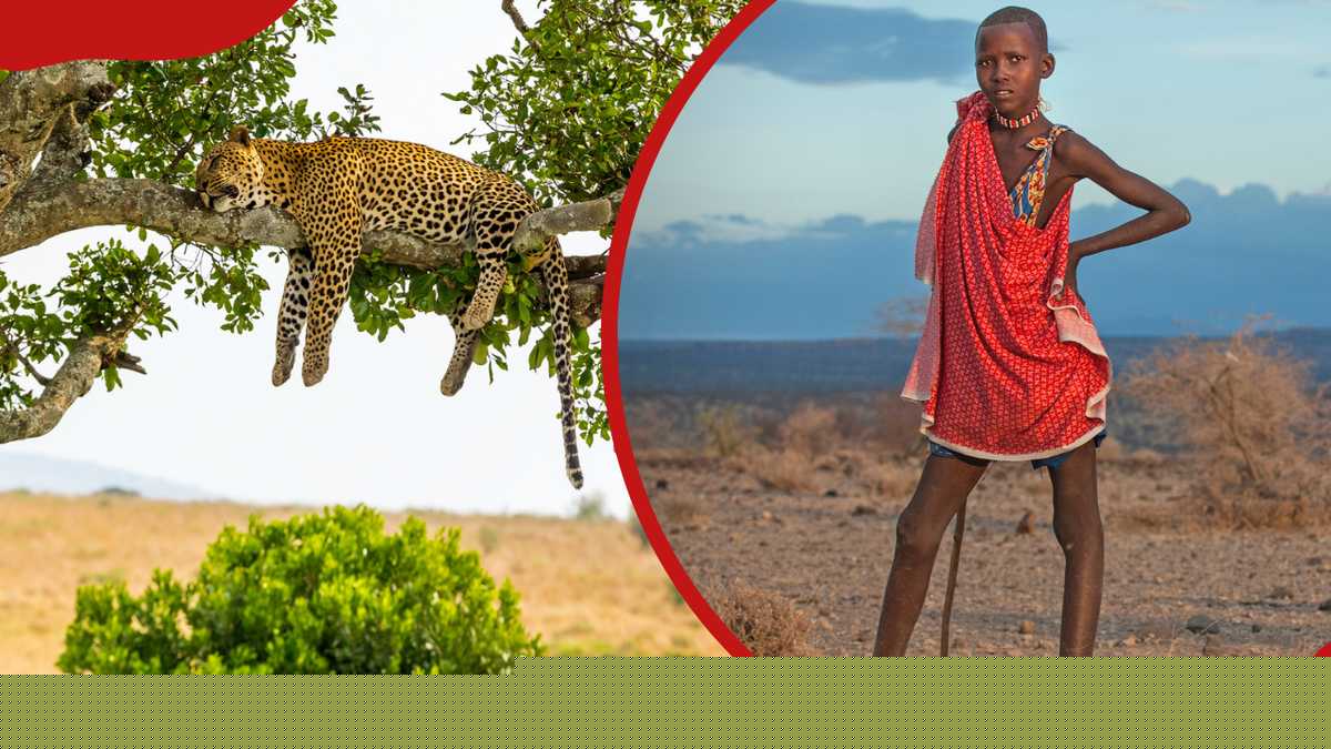 List of all climatic regions in Kenya with their characteristics