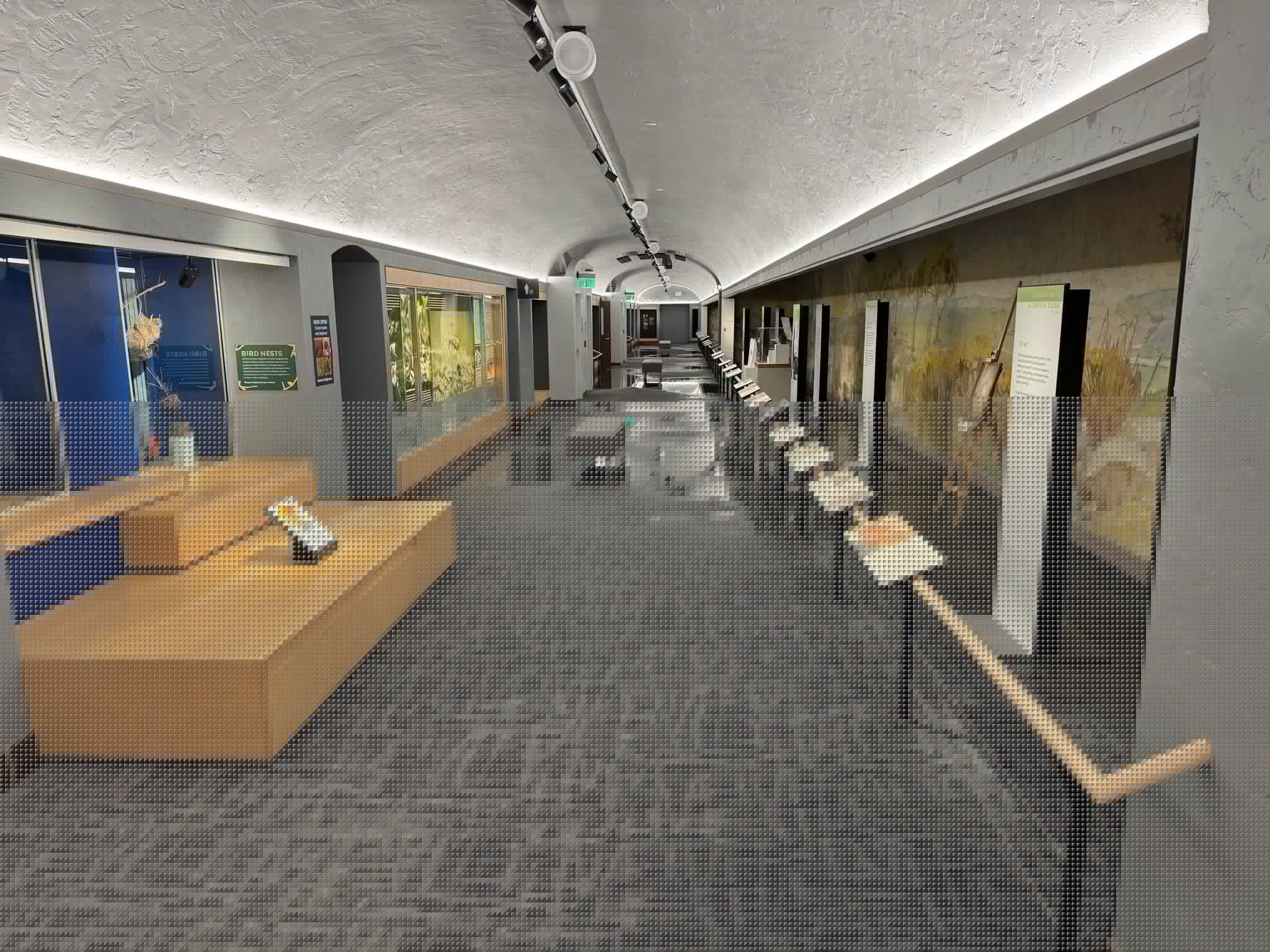 Morrill Hall suffers from flooding after storms hit Lincoln