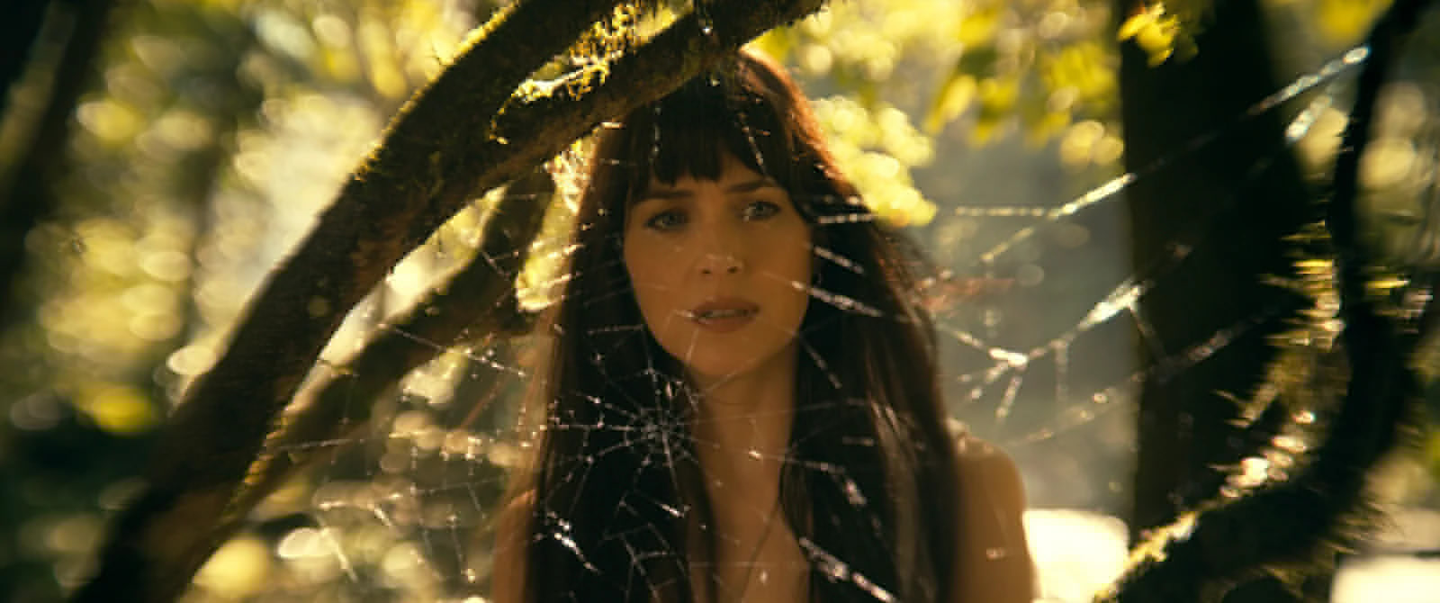 Madame Web : le film fantastique avec Dakota Johnson diffusé sur TF1