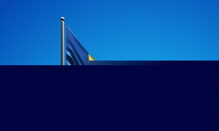 St Vincent achieves milestone in digital trade transformation