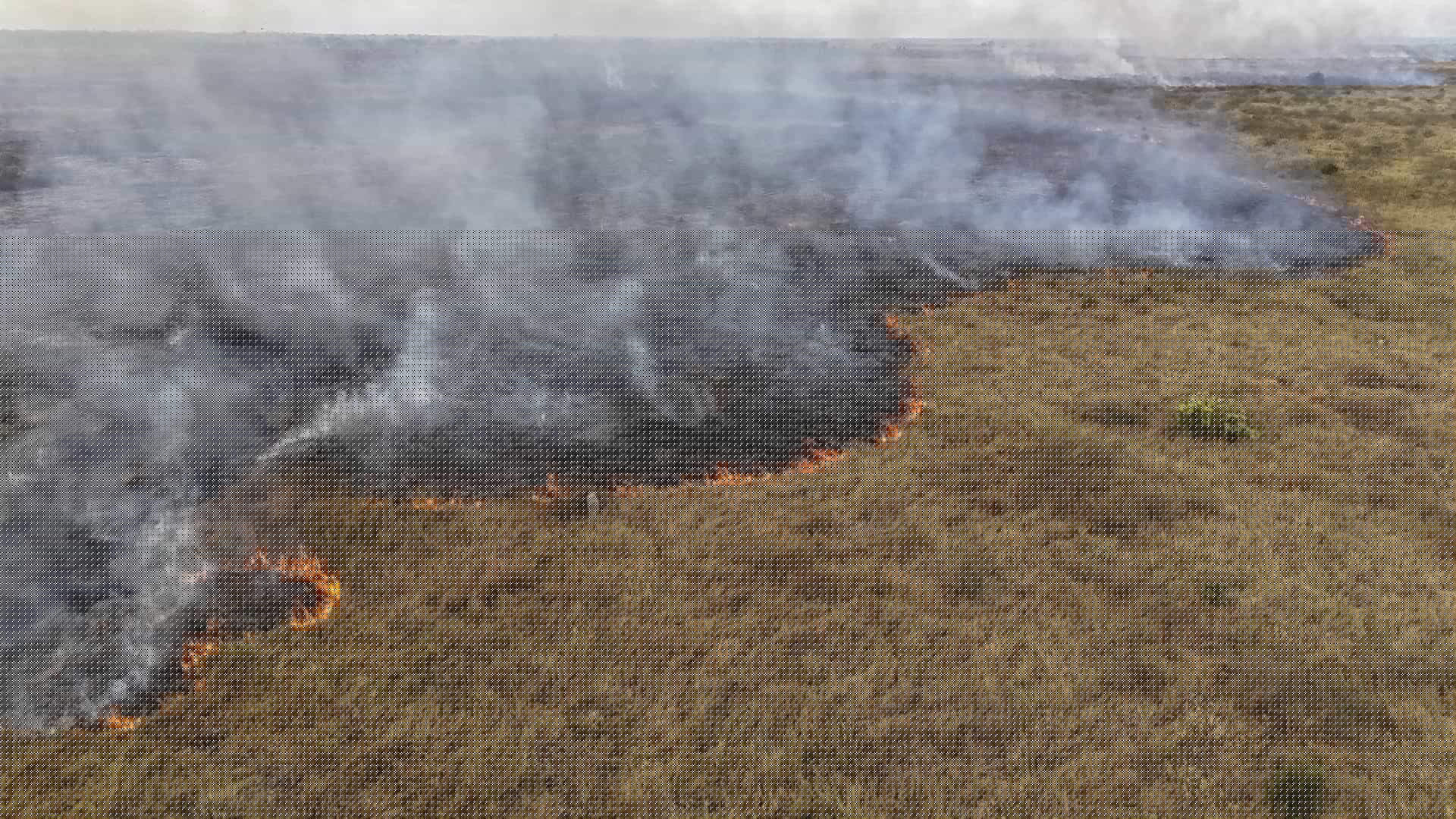Brasil reduce un 31% la superficie de hectáreas quemadas en 2025: la Amazonía registra el menor nivel en 41 años