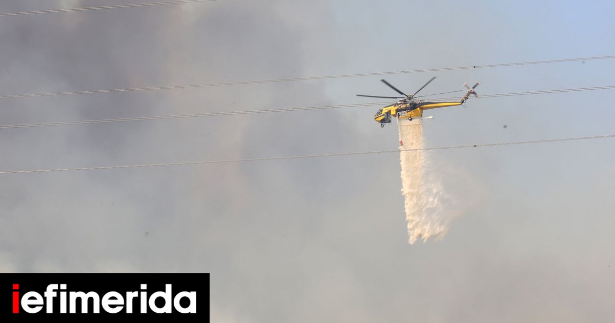 Λέσβος: Φωτιά τώρα στο Πλωμάρι, μήνυμα του 112 -Ισχυροί άνεμοι και φόβοι για επέκταση