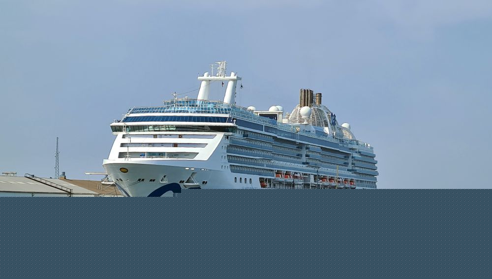 Comment on A Princess Cruise review by Maggie