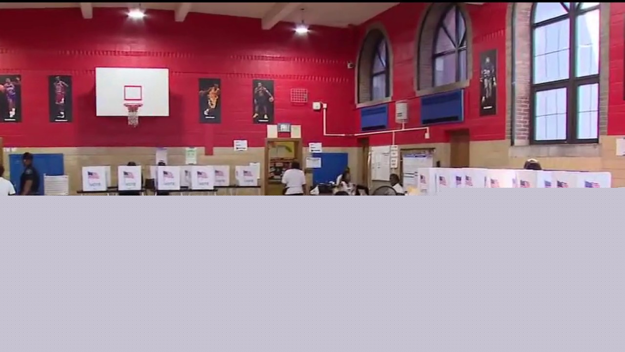 Federal election monitors in Metro Detroit for Primary