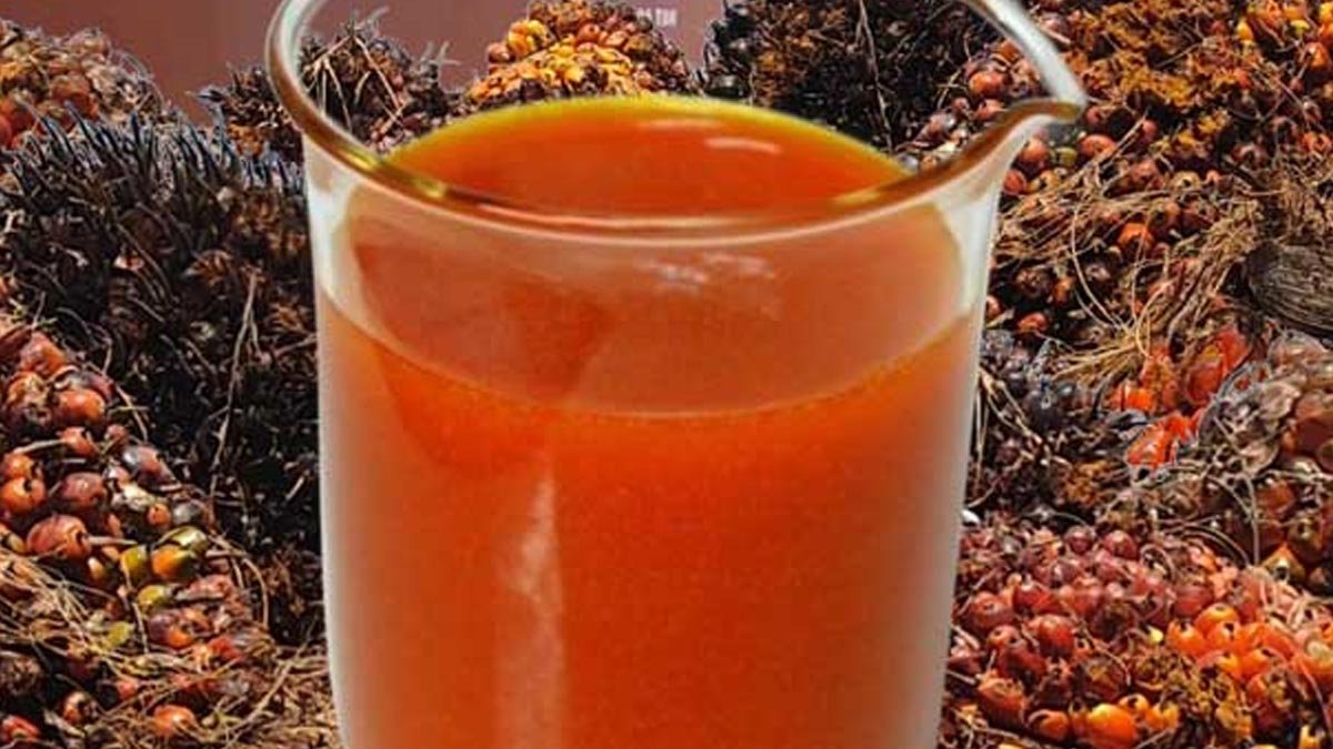 Palm Oil Rally Continues: KPBN Prices Rise, Malaysian Futures Extend Four-Day Gains on Thursday (January 29)