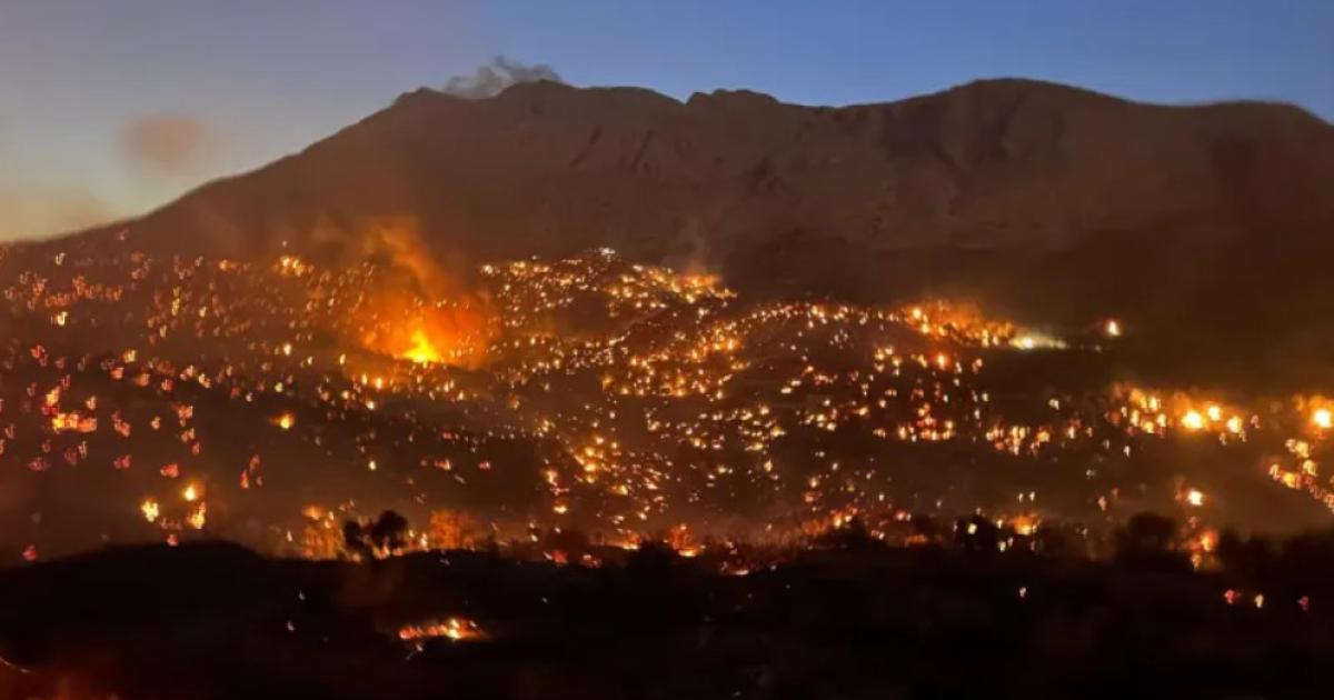 Πύρινος εφιάλτης στο Ρέθυμνο – Κάηκε πάνω από το 80% του φοινικόδασους της Πρέβελης (Videos&Photos)