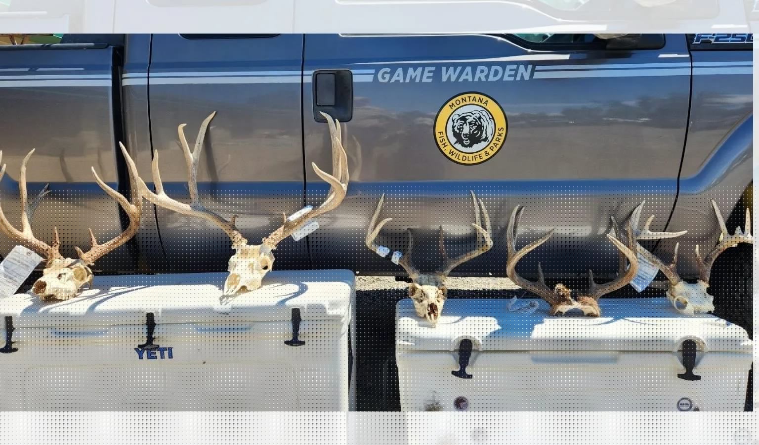 PSA: Don’t Use Your Grandma’s Hunting License (And Other Lessons from Two Convicted Poachers)