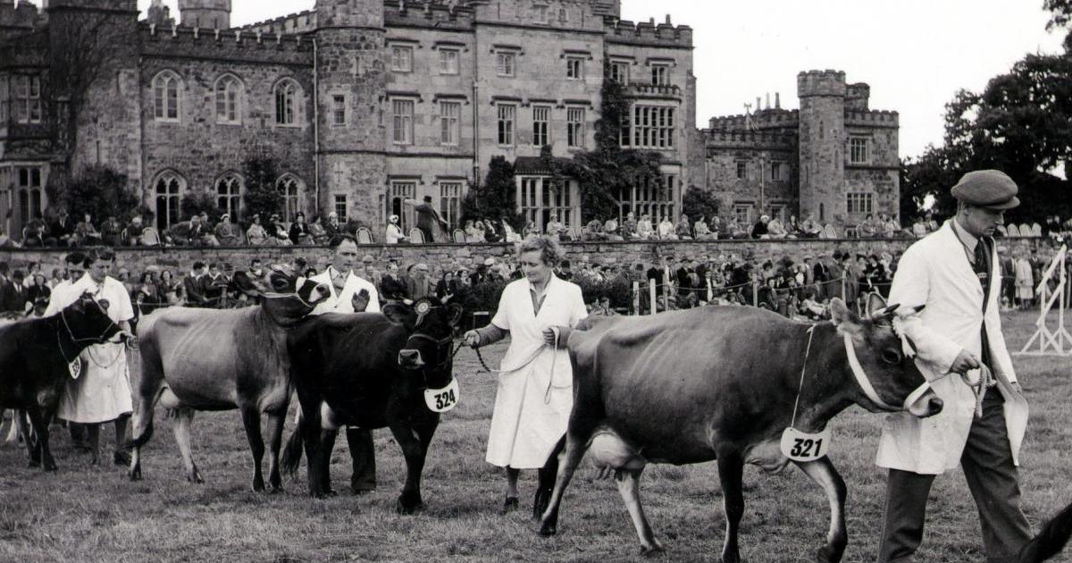 Looking back at the history of the Denbigh & Flint Show as show nears return