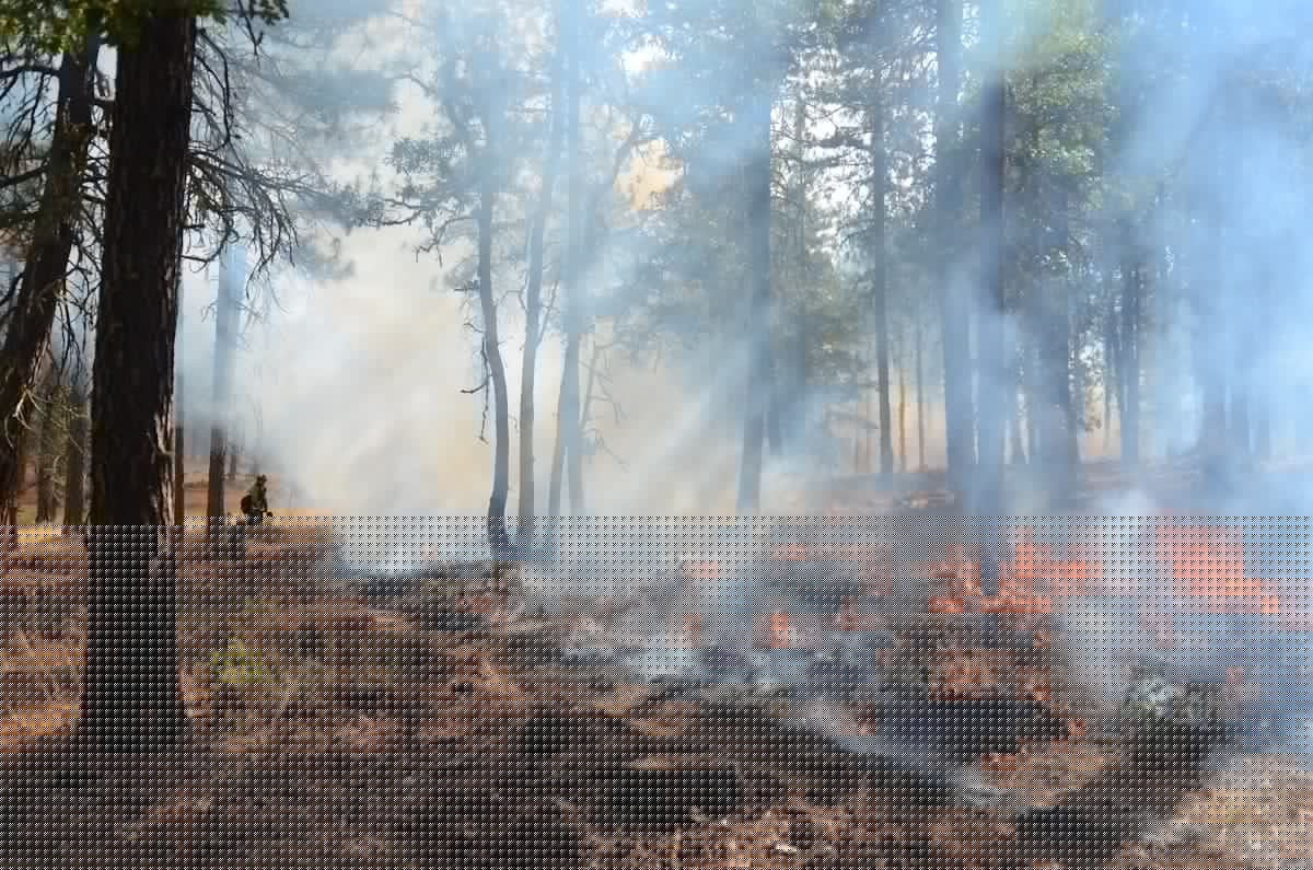 Beyond politics: Washington lawmakers join forces for fire recovery plan