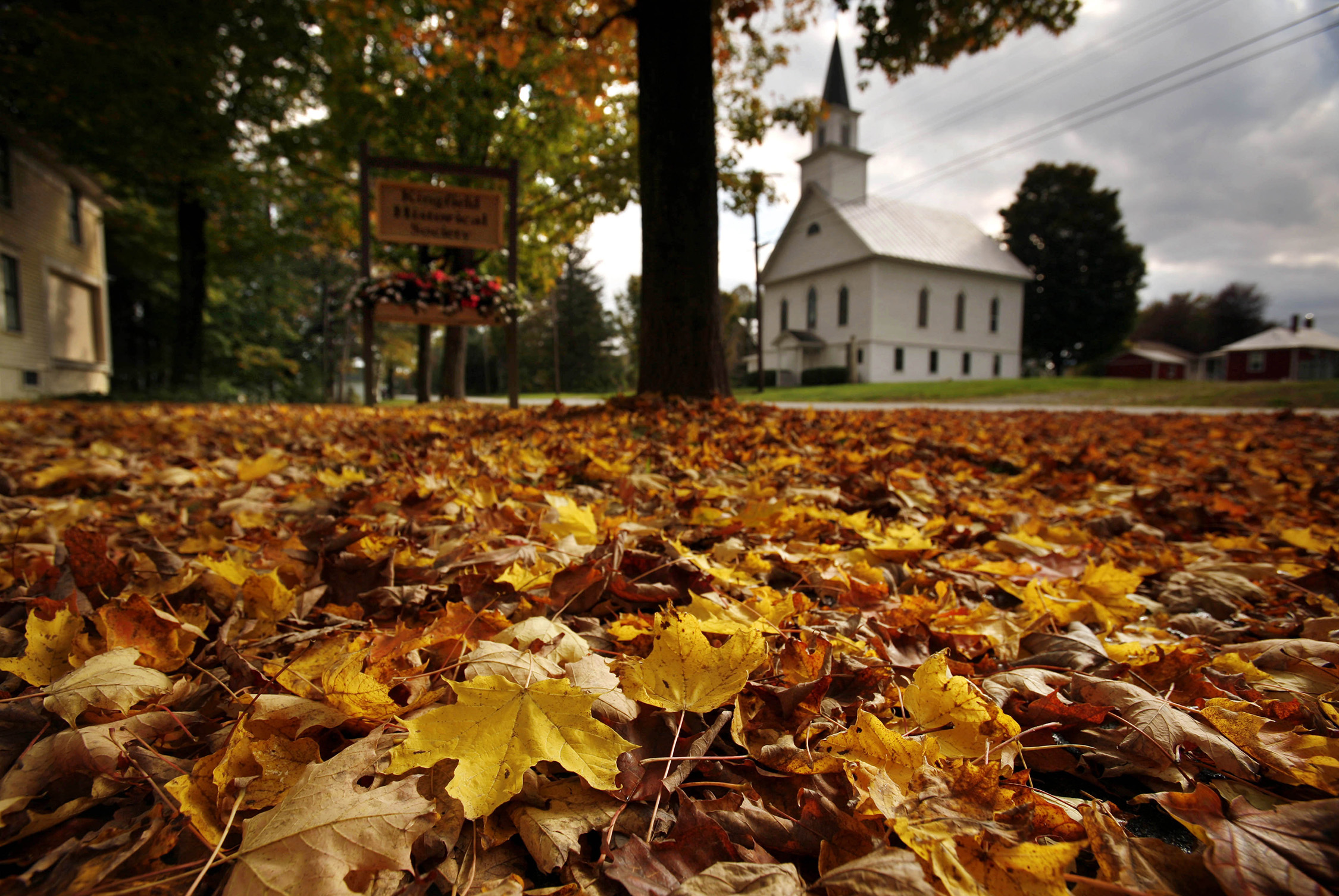 We all need to step back and kick the leaves | Opinion