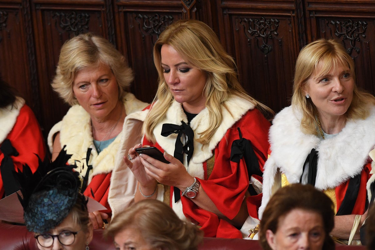 Calls for Tory peer at centre of PPE scandal to resign
